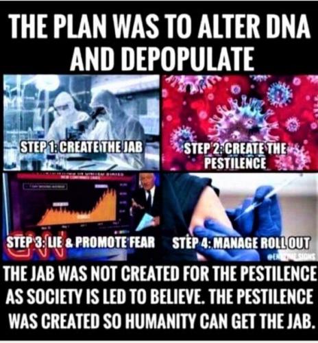 THE PLAN