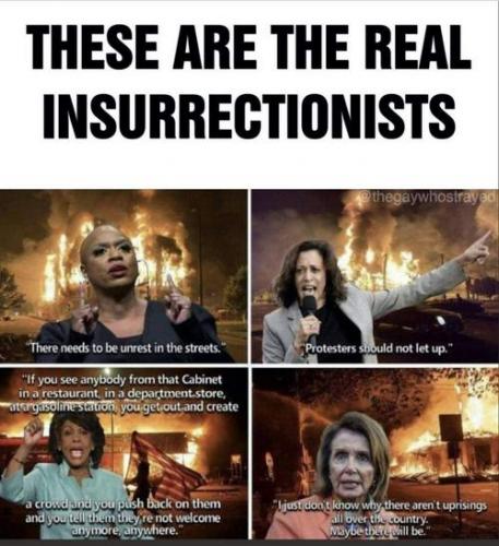theses are the real insurrectionists 27831590745902384527348