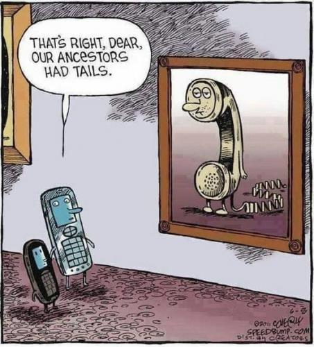 Our ancestors had tails