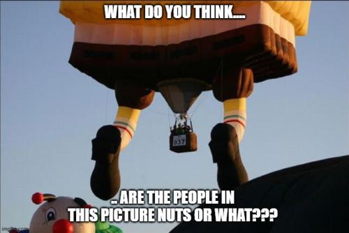 Nuts or what2