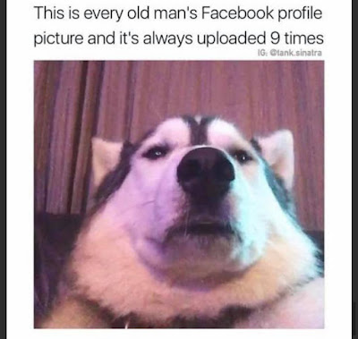 164297482_4321982421153431_6418954475406428504_n