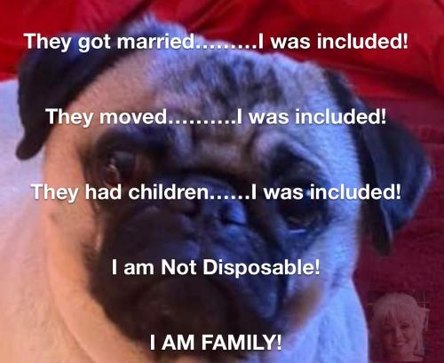 4909CD21-CFC0-491A-980C-AE3D72D46536