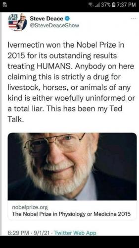 af025136225fbb79b8218ce3bde4d31d_500x0