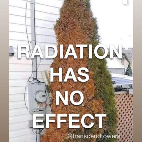 photo_2021-09-14_19-48-09