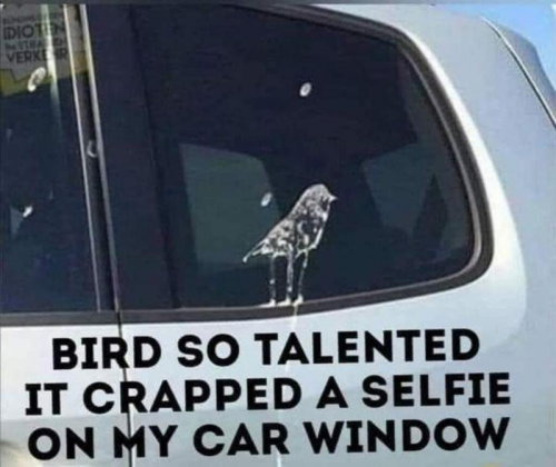 bird-crap-selfie