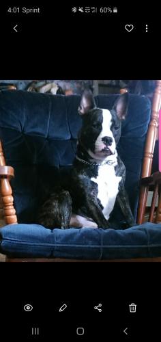 Screenshot_20190829-040157_Gallery