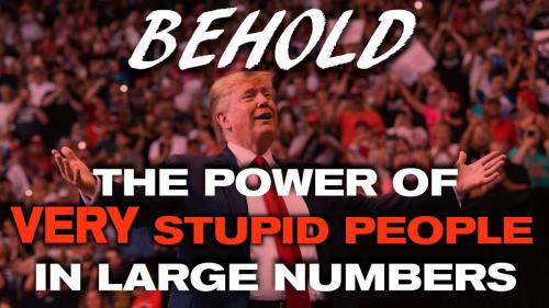 stupid people