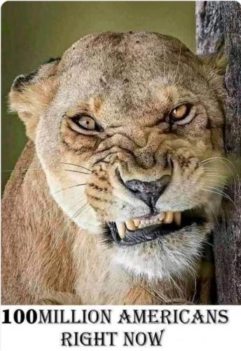 Screenshot_20210921-192814