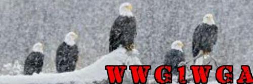 CCCF90EA-3DD5-4F75-901E-C84F3CDB6D6C