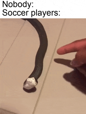 soccer players daily_gifdump_3630_31
