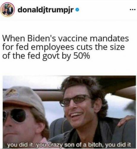 Reduced government