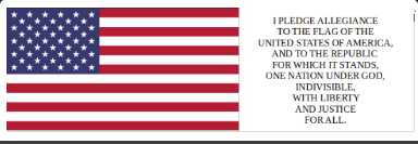 FlagWithPledge