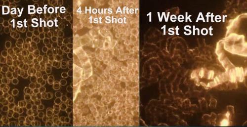 photo_2021-09-25_00-53-10