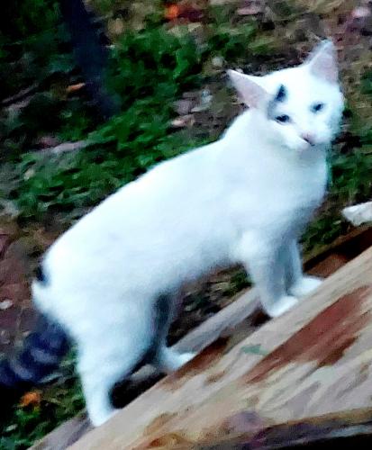 Screenshot_20210904-185659_Gallery