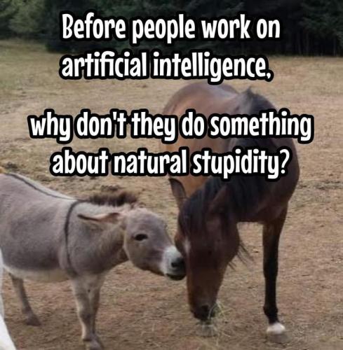 naturalstupidity
