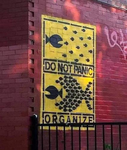 panic v organize