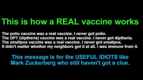 This is how a REAL vaccine works
