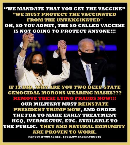 1-1-A-A-A-A-A-A-A-BIDEN-GET-THIS-SOB-OUT-GENOCIDE-JOE-MASKS-FINAL