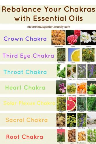 32B891C8-DEC1-40AA-B82E-F795F9642811