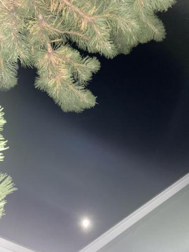 887BCB16-A57E-400D-9615-DCD585805BF1