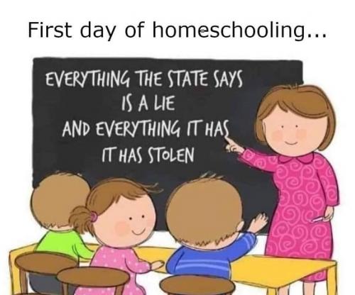 curriculum