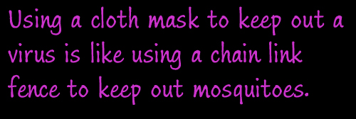 mosquitoes