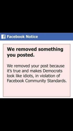 B0153E9F-3A49-4685-9E36-B46384D0436B