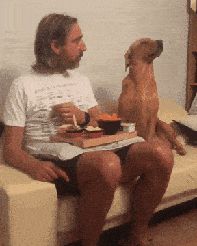 doggy daily_gifdump_3630_32