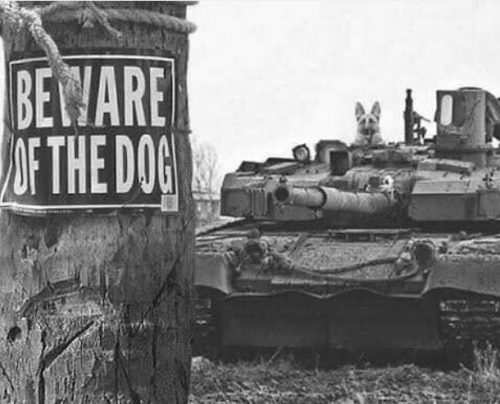 ff - 0918 - beware of the dog