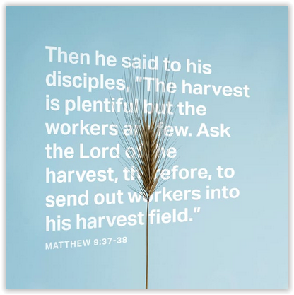 Screen Shot 09-09-21 at 06.56 AM