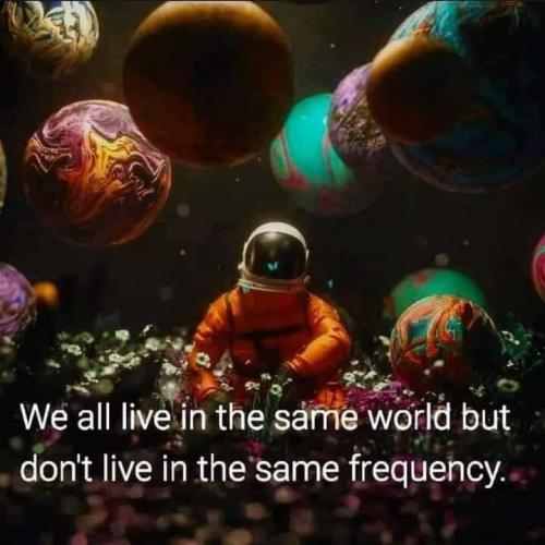 CC40D5E3-A007-4D15-BDE8-D931471FF597