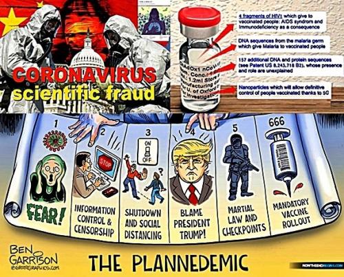 COVID Science & Jab Fraud Plandemic