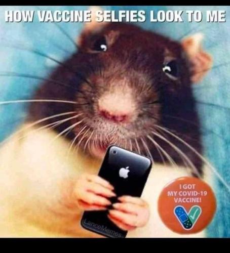 photo_2021-07-05_00-02-00