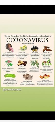 FB_IMG_1631363689023