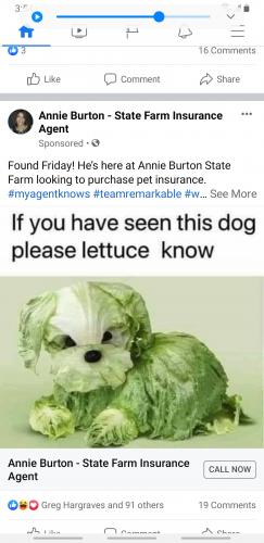 Screenshot_20210907-155422_Facebook