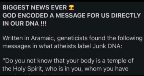 Screenshot_20210911-003438_Gallery