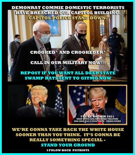 1-1-A-A-A-A-A-A-A-BERNIE-SCHUCKER-DOMESTIC-TERRORISTS-1