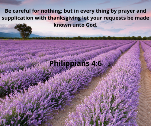 1E4002C4576B66D91677280593D68B75.bible140