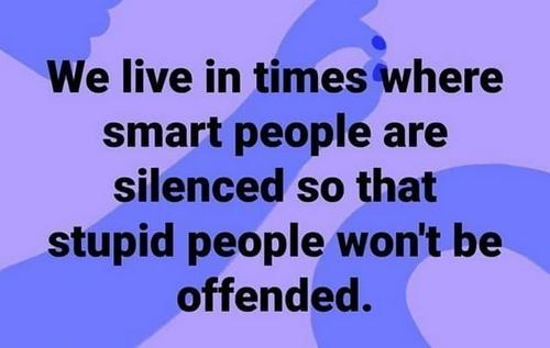 a22fa2e703bd37ee104fc1ff9d07603d_500x0