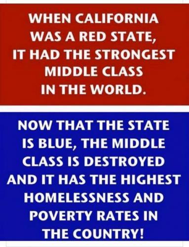 in cali 71261389214234928855