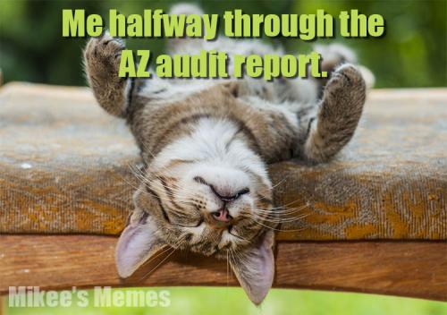 AZ Audit Results