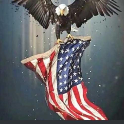 4FF92F17-6D06-4991-A583-D070CE64A0F5