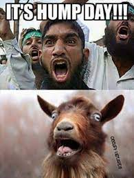 063A4EF2-5C7D-4190-9ED7-459B31C1899F