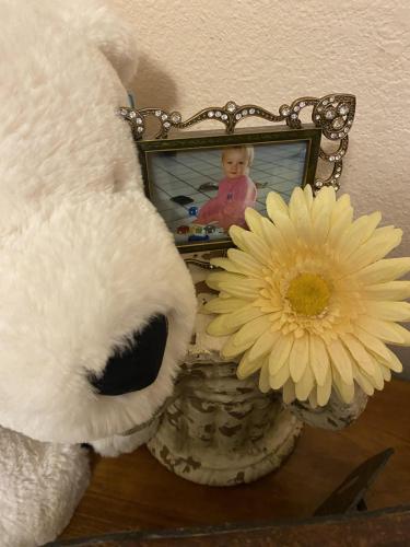 3F0821E3-4BD7-4A11-BE88-B9553F450613