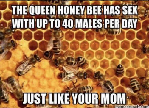 73B36BA6-4BC6-4D7E-AE61-4CDE68E56940