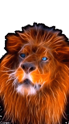 meme john lion animated