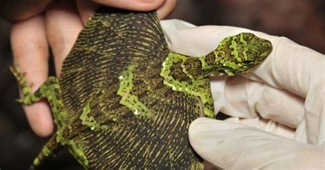 03AACE9A-9E0C-4DD8-9DB0-3181212642F4_4_5005_c