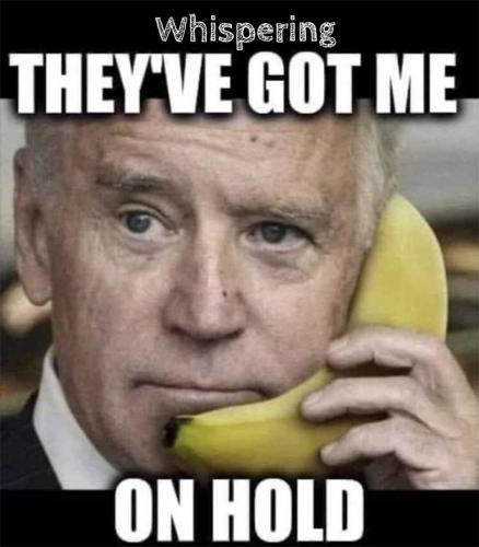 Biden on Hold