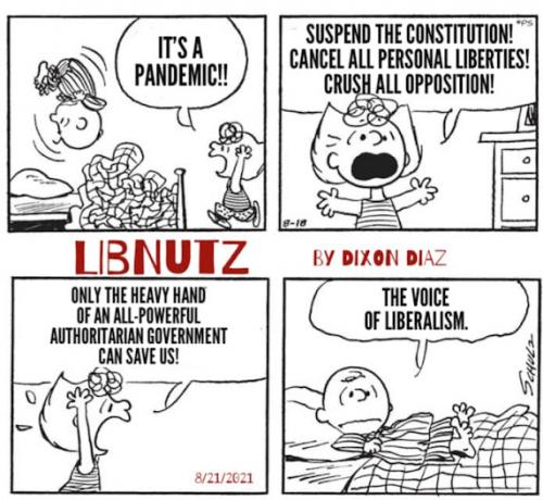 wgDINXU