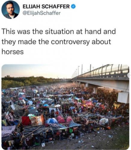 about horses